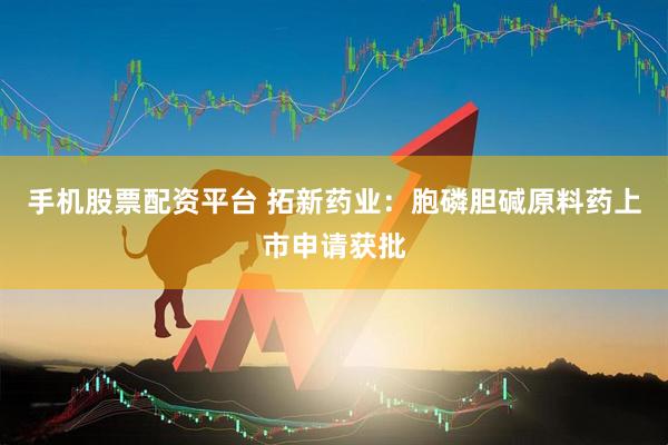 手机股票配资平台 拓新药业：胞磷胆碱原料药上市申请获批